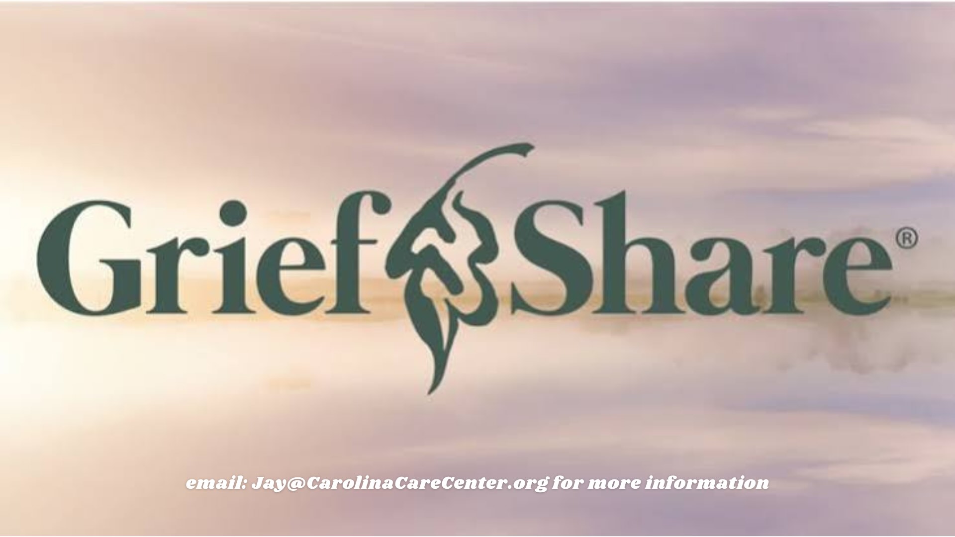 Presentation - Carolina Care Center Fundraiser Night - 4